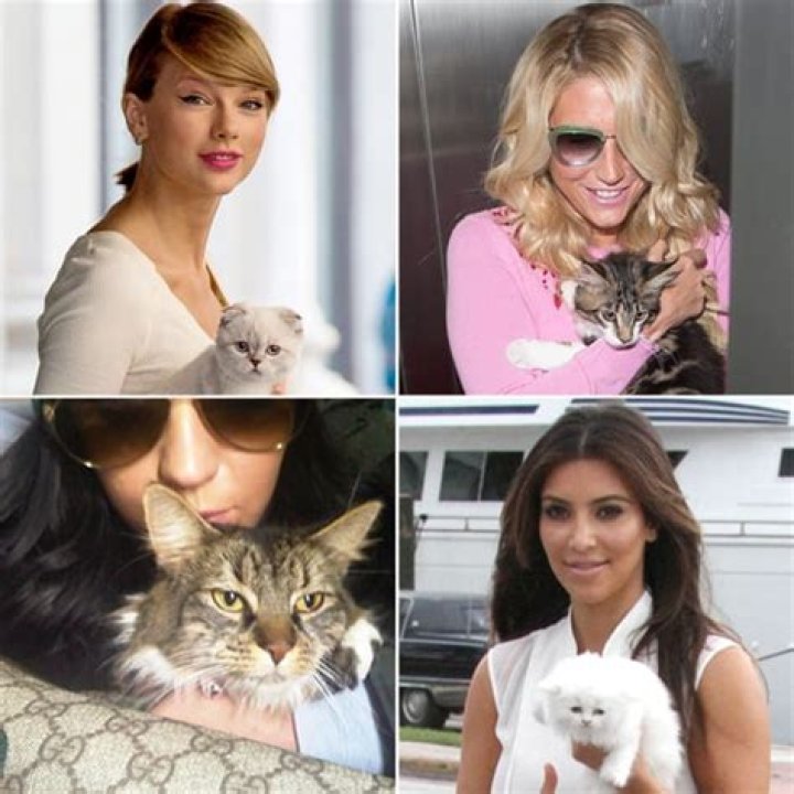 30 Cutest Celebrity Cats