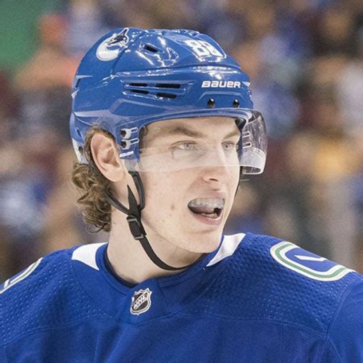Adam Gaudette Biography, NHL player, stats, contract, earnings, salary, net worth, girlfriend, rumor, relationship, age, family