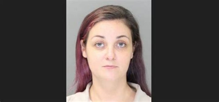 
Alyssa Dayvault Abuse North Myrtle Beach Case, A Devil Mother 