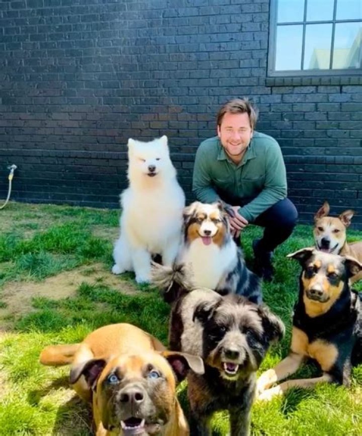 Ariel Winter & Luke Benward Cuddle With Their Dogs As They Quarantine Together