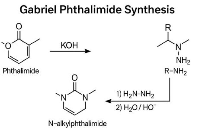 Can benzylamine be prepared by Gabriel synthesis?