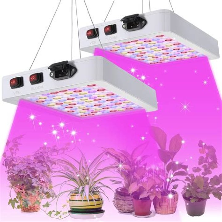 Can I put grow lights in my ceiling light?