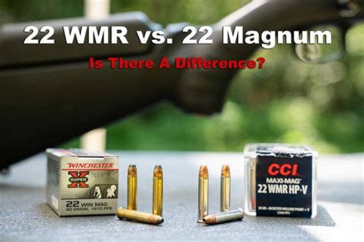 Can you shoot 22 WMR in a 22 LR?