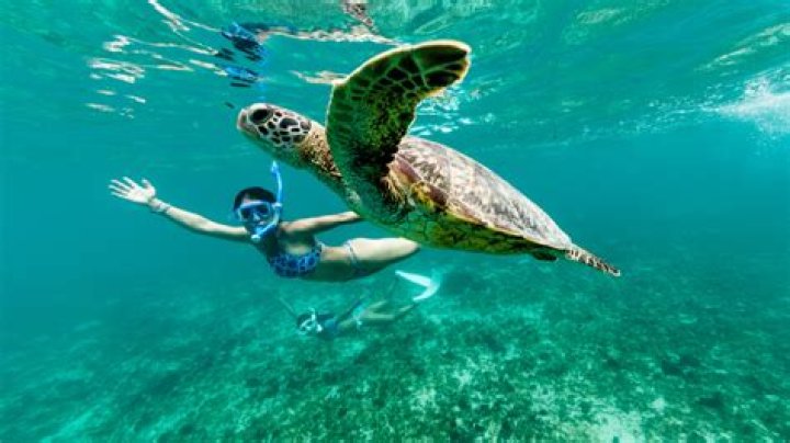 Can you swim in Sodwana Bay?