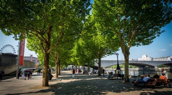 Can you walk along the South Bank of the Thames?
