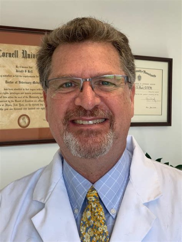 Dan Bell - Bio, Age, Wiki, Facts and Family