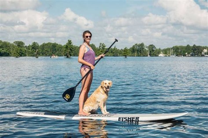 Delilah Belle Hamlin Sizzles In Brown Bikini On Paddle Board With Hunky Boyfriend – Pics