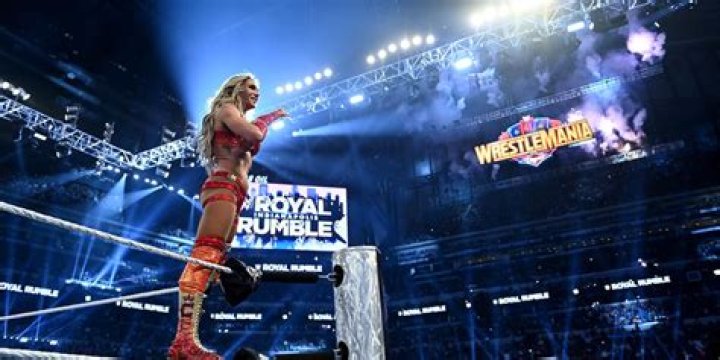 Did Natalya win the Divas Championship?
