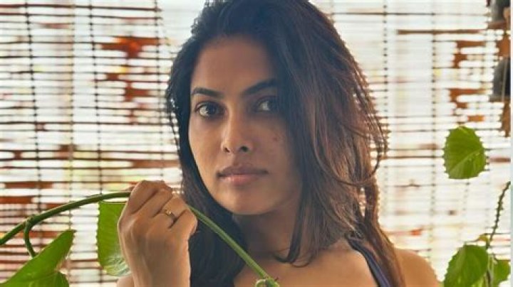 
Divi Vadthya Height, Weight, Net Worth, Age, Birthday, Wikipedia, Who, Nationality, Biography 