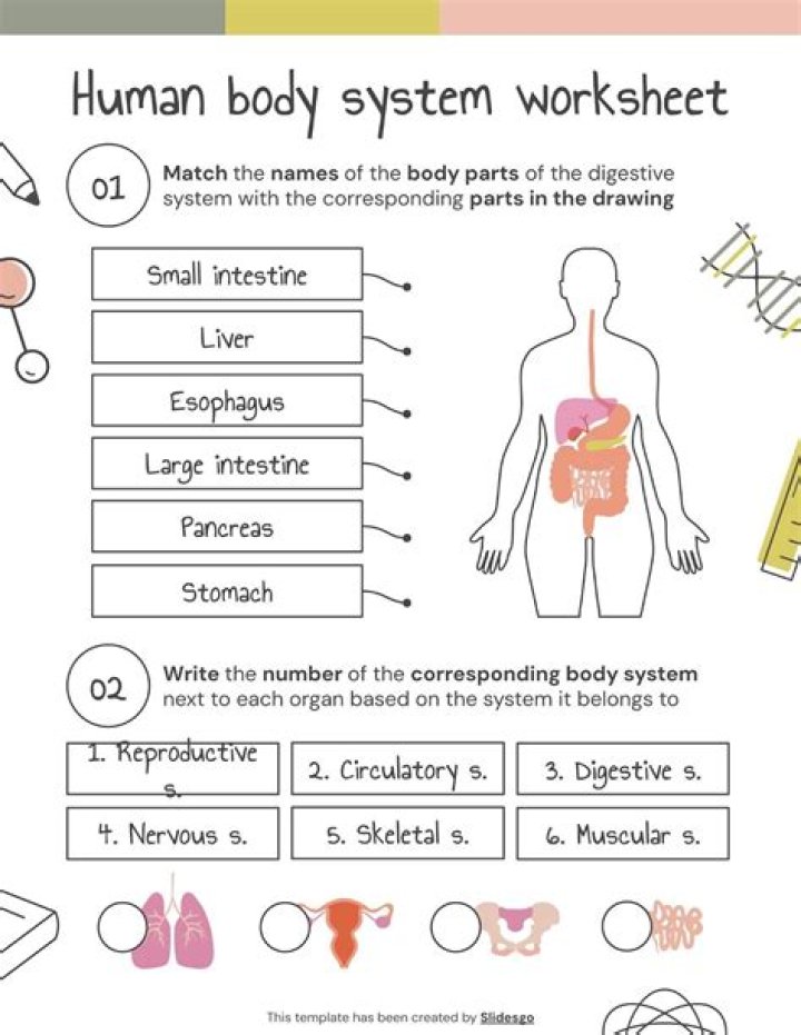 Do you learn about the human body in 5th grade?