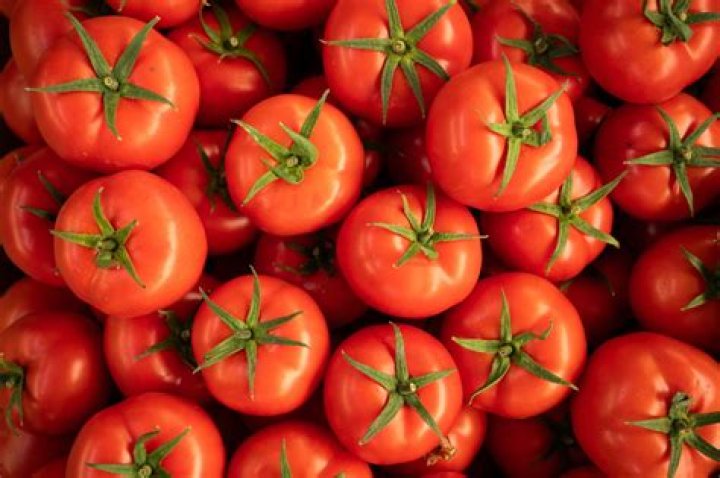 Does 7/11 have tomatoes?
