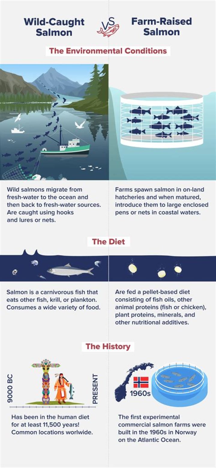 Does farm raised salmon have antibiotics?