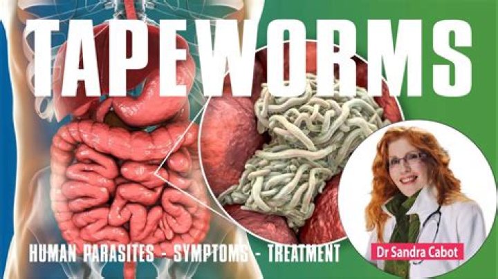 Does ivermectin get rid of tapeworms?