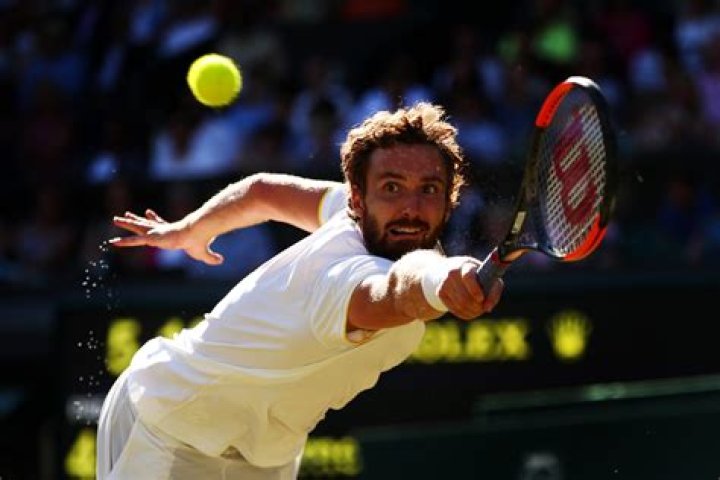 Ernests Gulbis - Bio, Age, net worth, siblings, height, Wiki, Facts and Family