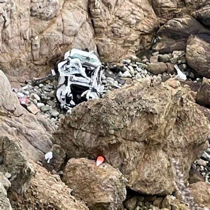 
Father Who Allegedly Drove Tesla Off Calif. Cliff With Wife and 2 Kids Inside Is a Doctor 