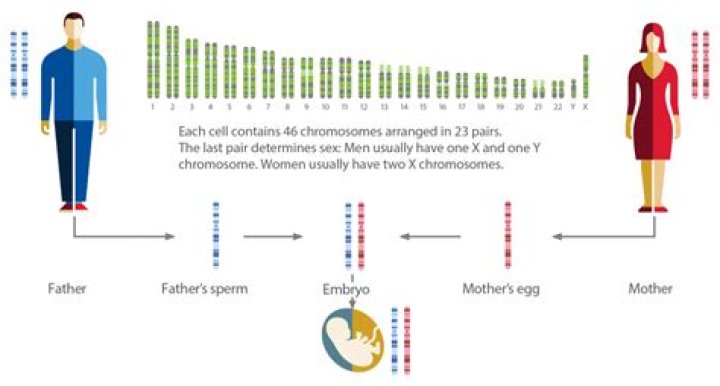 How accurate is Panorama genetic testing?