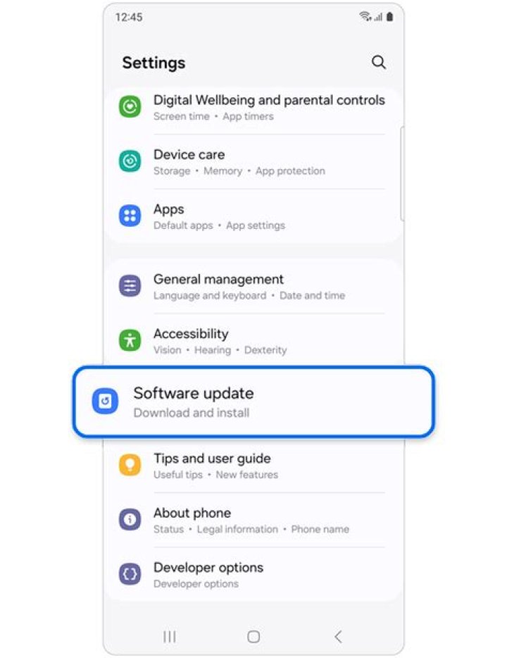 How can I update my Samsung Galaxy S Duos software?
