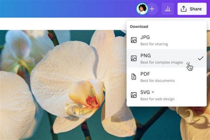 How do I convert a JPG to PNG?