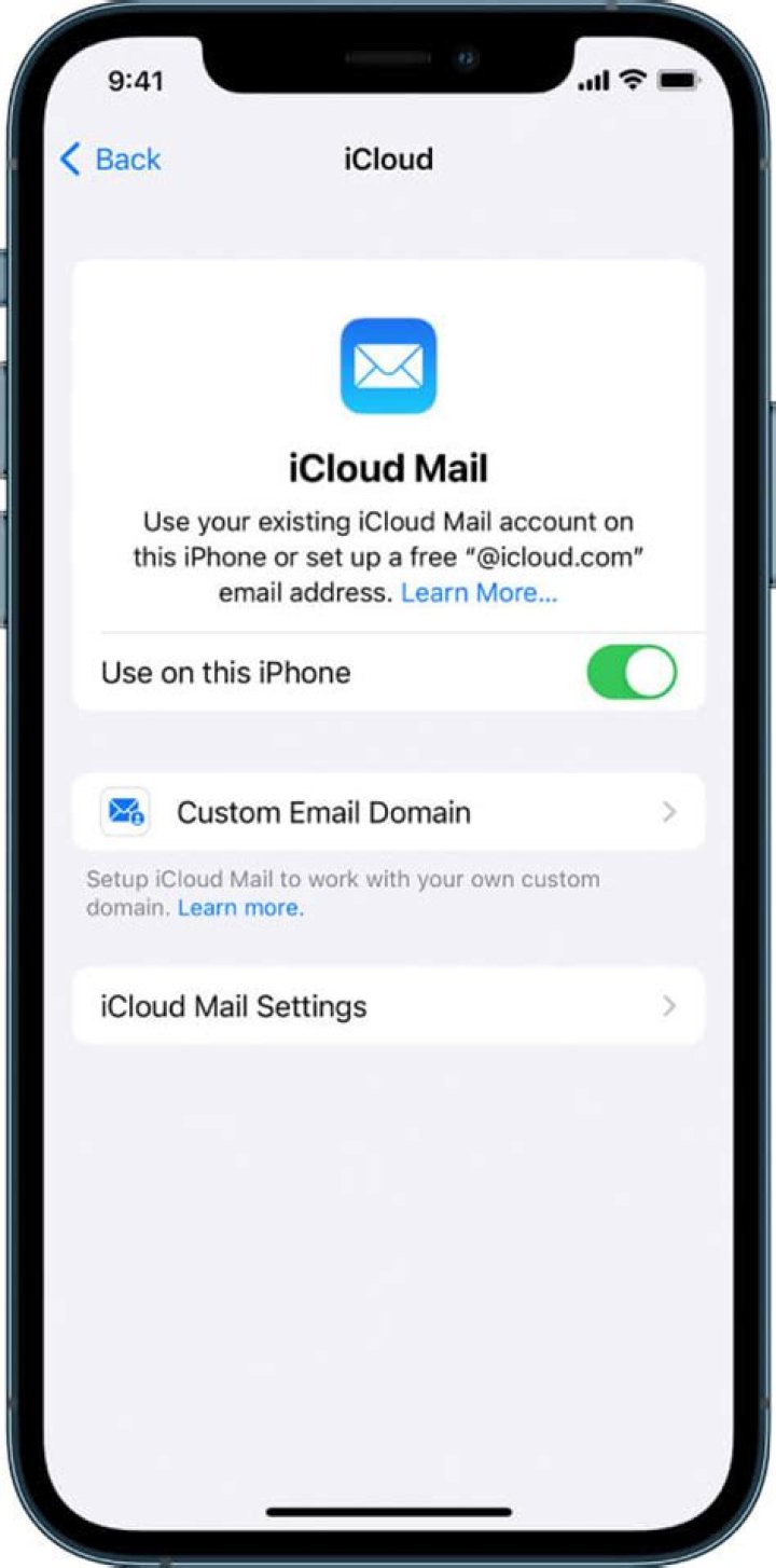 How do I turn on voice search on my iPhone?