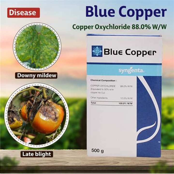 How do you use copper oxychloride 50% WP?