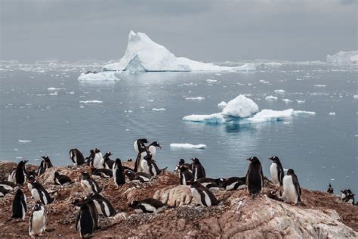 How is Antarctica changing due to climate change?