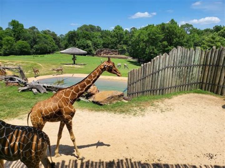 How long does it take to go through Caldwell Zoo?