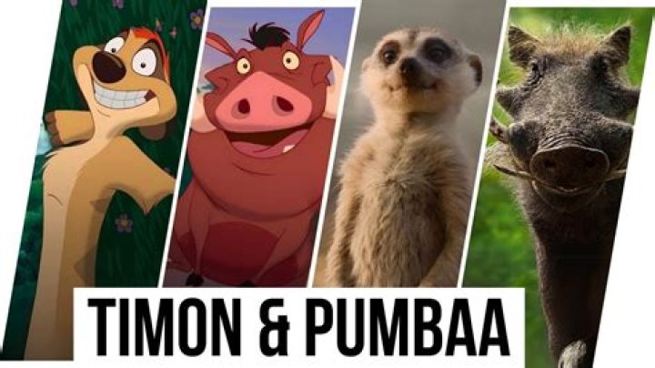 How many episodes does Timon and Pumbaa have?