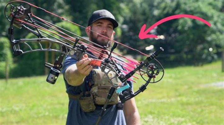 How much does it cost to bow hunt elk?