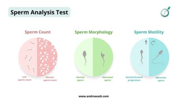How much does it cost to get sperm tested?