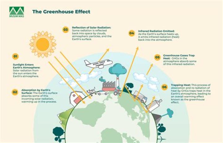 How much does smoking contribute to global warming?