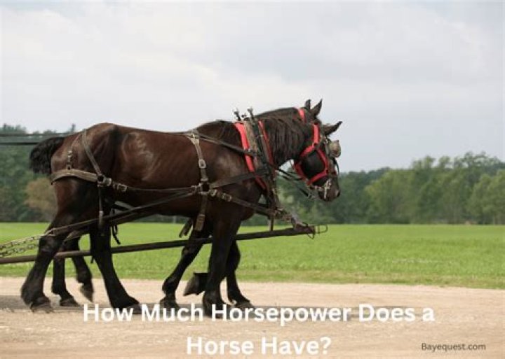 How much horsepower does a 2014 350Z have?