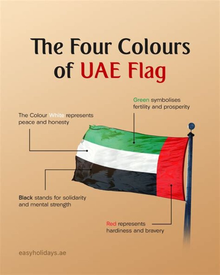 How was the UAE flag created?