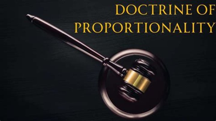 In what circumstances is it possible to apply the proportionality test in judicial review?