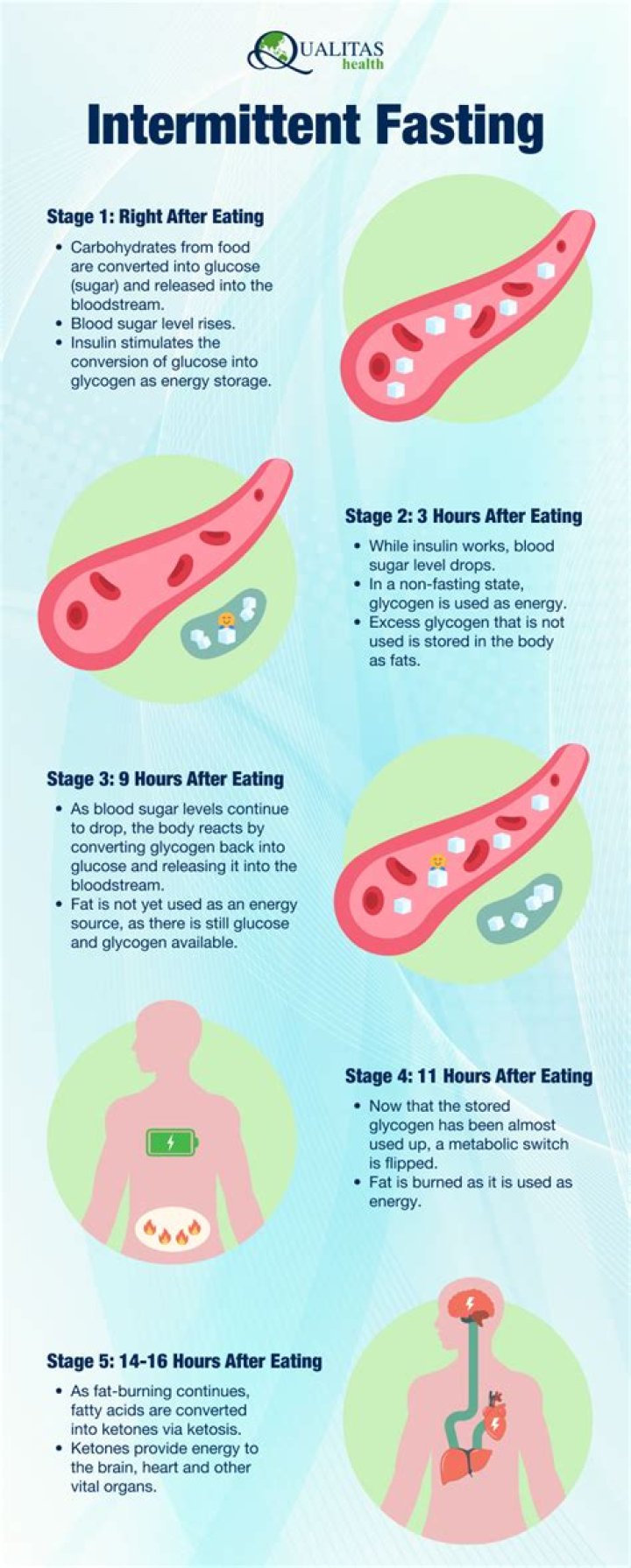 Intermittent Fasting – Hollywood Life