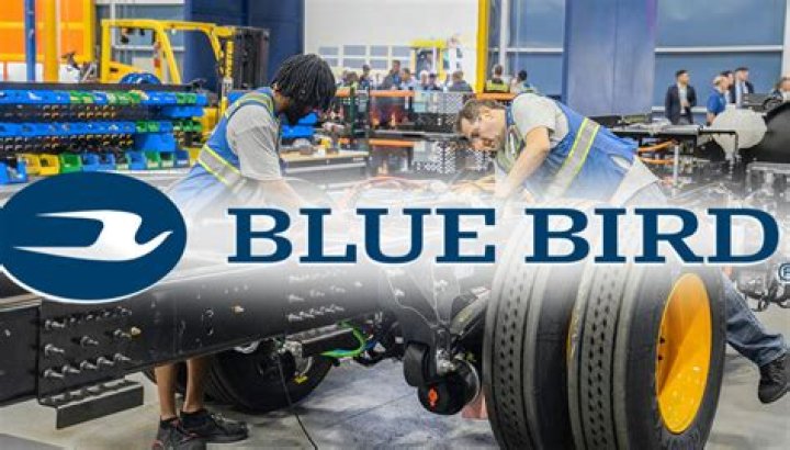 Is Bluebird a good company?