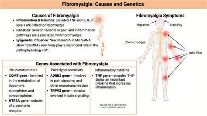 Is CoQ10 good for fibromyalgia chronic fatigue?