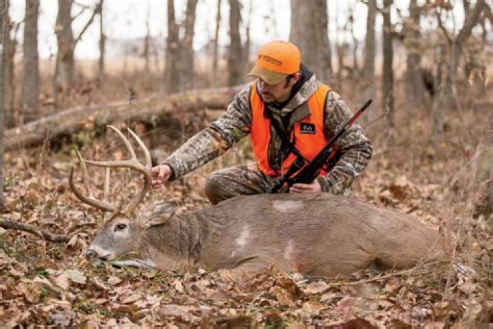 Is hunting in packs a learned behavior?