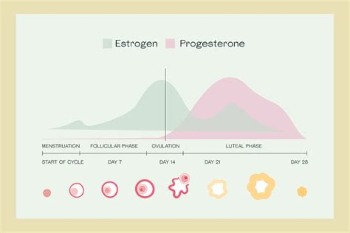 Is it OK to take progesterone while breastfeeding?