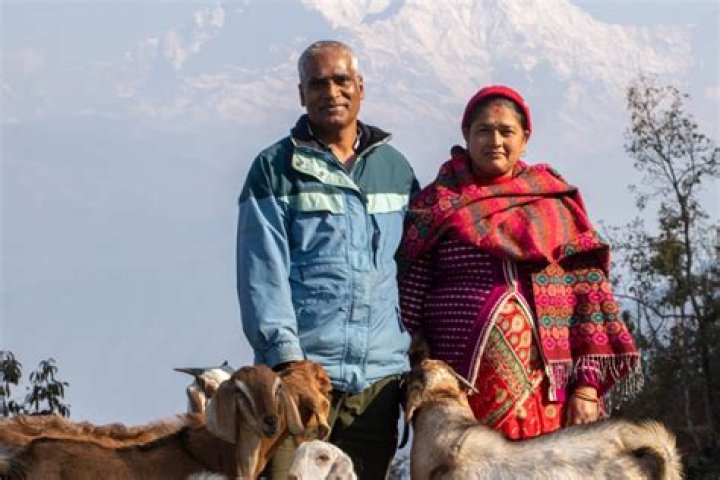 Is the Heifer Project legitimate?