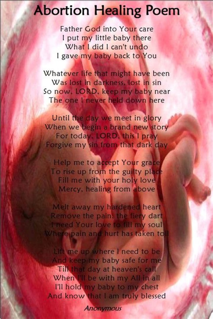 Is the mother an anti abortion poem?