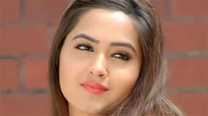 
Kajal Raghwani Viral Video From Twitter, Here Is What We Know About The Actress’s Personal Life 