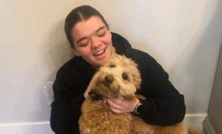 
Katelyn Edgell Car Accident, What Happened to Katelyn Edgell? 