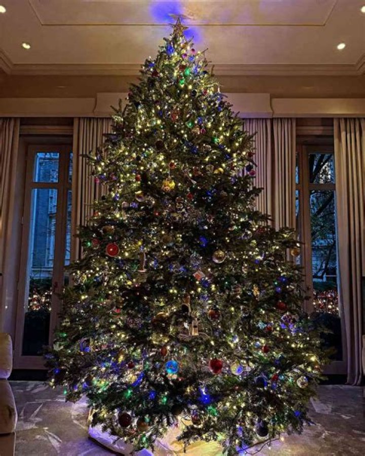 Kelly Ripa Posts Christmas Tree With ’33-Year-Old Ornament Collection’ – Hollywood Life
