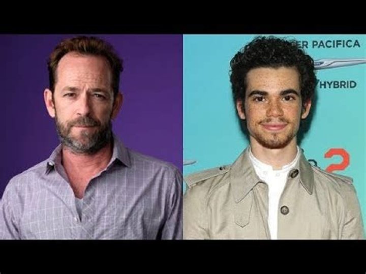 Oscars Leave Luke Perry & Cameron Boyce Out Of 2020 In Memoriam & Fans Are Furious