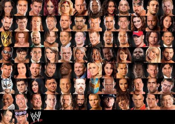 Pictures Of The WWE DIvas – Hollywood Life