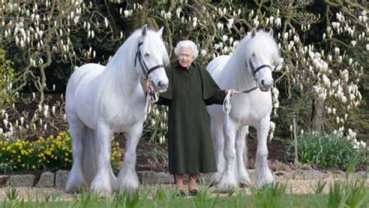 Queen Elizabeth Celebrates 96th Birthday With Her 2 Majestic Ponies – Hollywood Life