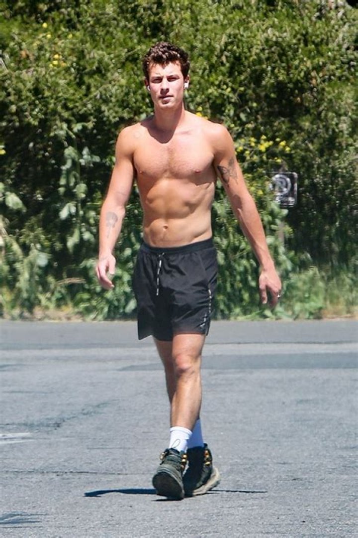 Shawn Mendes Goes Shirtless In New Mental Health Awareness Photos – Hollywood Life