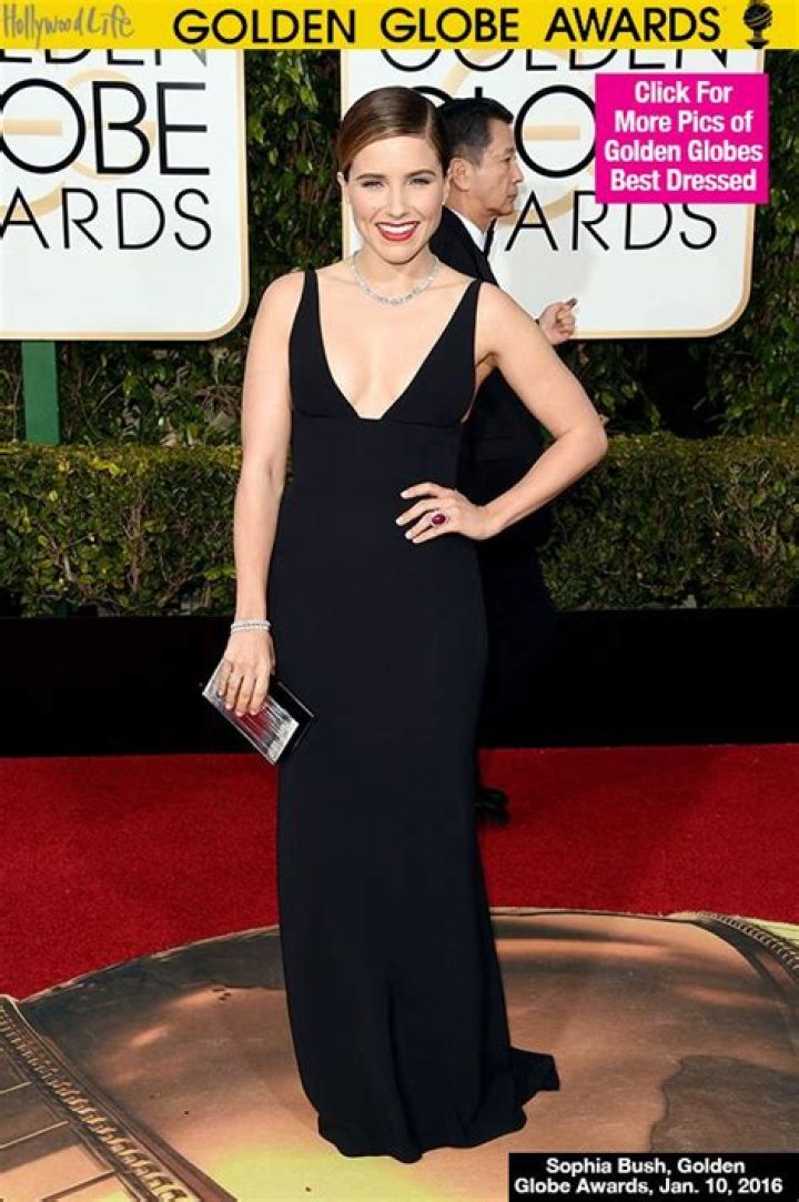 Sophia Bush Jokes She’s Wearing Clothes Over Bros At Golden Globes