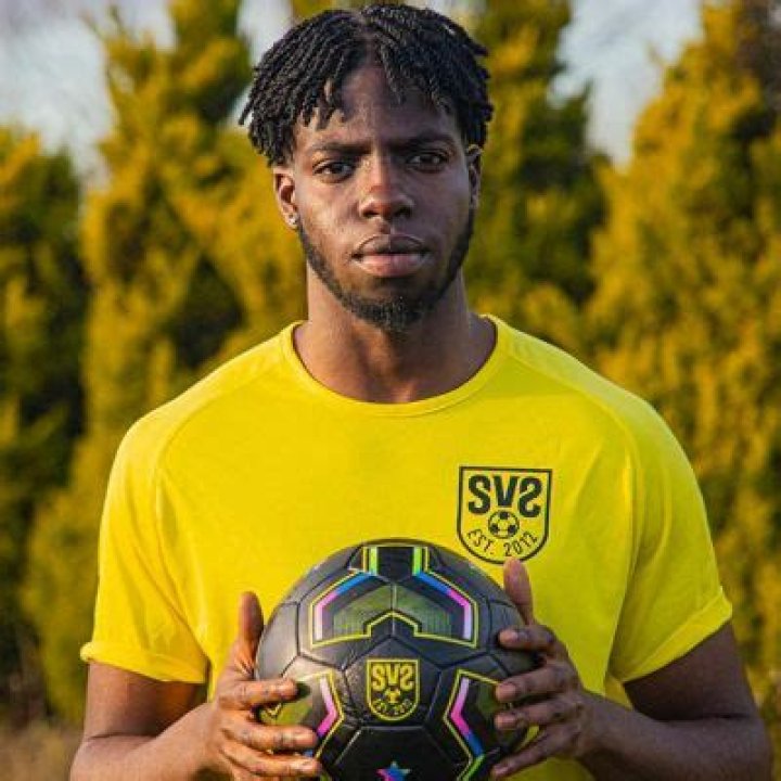 SV2 Height, Weight, Net Worth, Age, Birthday, Wikipedia, Who, Nationality, Biography