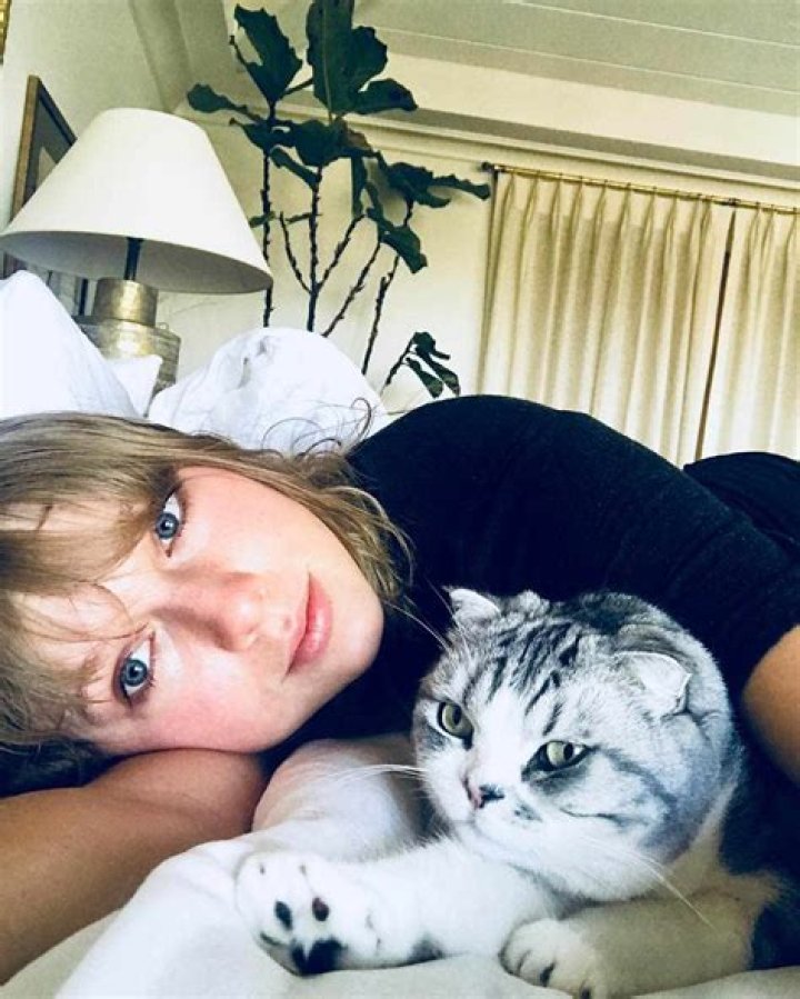 Taylor Swift’s Cat Meredith Returns In New Video – Hollywood Life